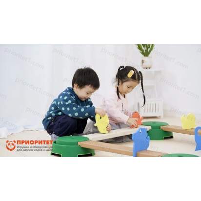 Балансировочный тренажер_1