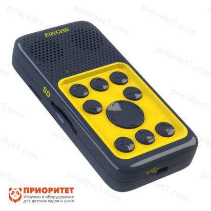 Карманный тифлофлешплеер ElecGeste DTBP-202_1