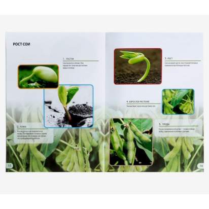 Набор для опытов Наука о растениях, 16 опытов 2_1