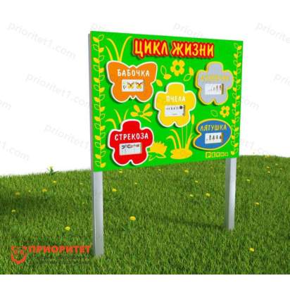 Модуль «Цикл жизни»_1