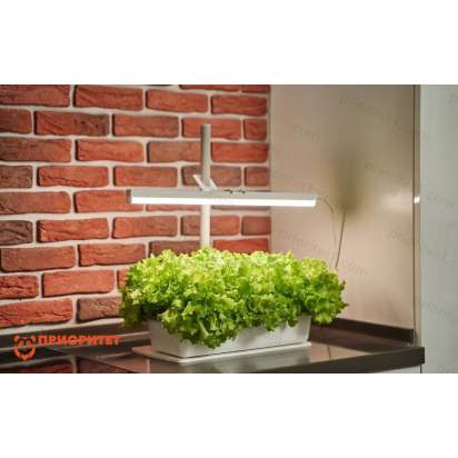 Обучающий комплект экологической направленности Сити-фермер 2.0_1