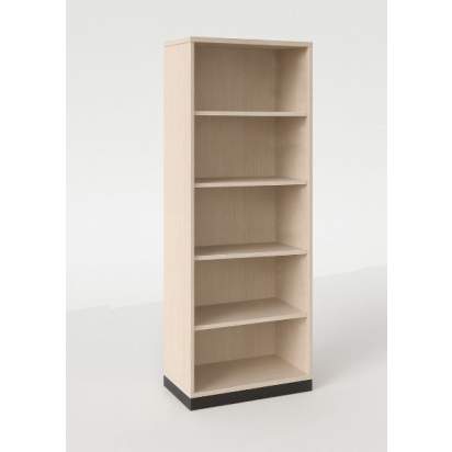 Система хранения ИИ 6.7_1