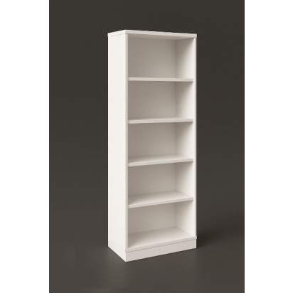 Система хранения ИИ 6.7. (2 вариант)_1