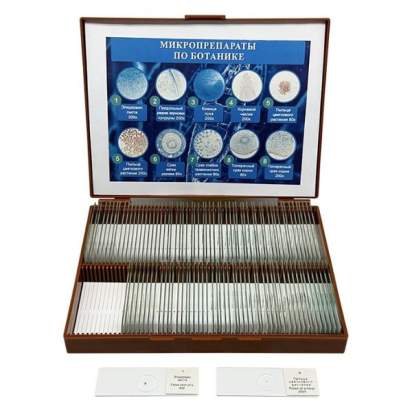 Комплект микропрепаратов по ботанике (профильный уровень)_11