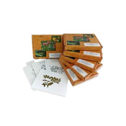 Комплект гербариев раздаточных_1