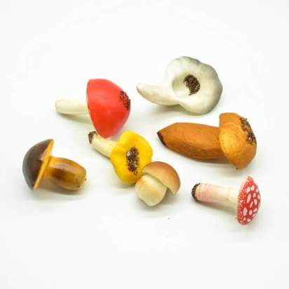 Комплект муляжей демонстрационный Растениеводство1_1