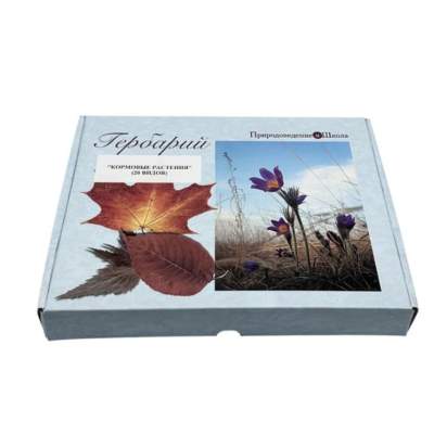 Гербарий «Кормовые растения»_1