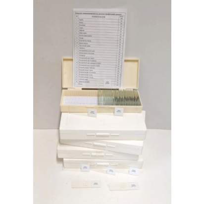 Комплект микропрепаратов по зоологии (профильный уровень)_1