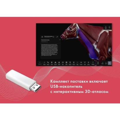 Виртуальный учебный комплекс Интерактивный трехмерный атлас анатомии животных1_1