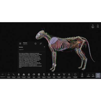 Виртуальный учебный комплекс Интерактивный трехмерный атлас анатомии животных4_1