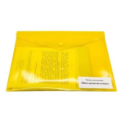 Комплект моделей-аппликаций демонстрационный1_1