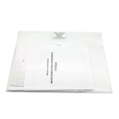 Комплект моделей-аппликаций демонстрационный3_1