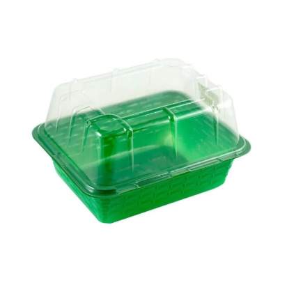 минипарник_1