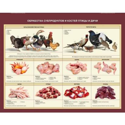 Стенд «Обработка субпродуктов и костей птицы и дичи»_1