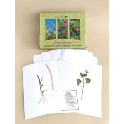 Гербарий «Сельскохозяйственные растения»_1