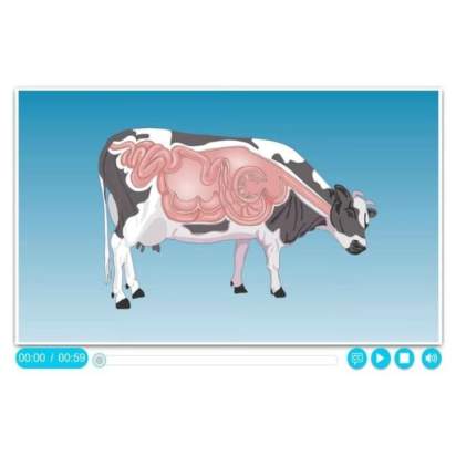 Электронные образовательные ресурсы Животноводство3_1