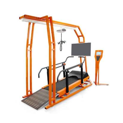 Система реабилитационная с беговым тренажером с автоматическим управлением_1