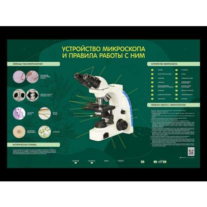 Электрифицированный стенд Устройство микроскопа и правила работы c ним_1