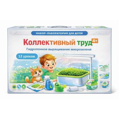 3 коллективный проект_1_1