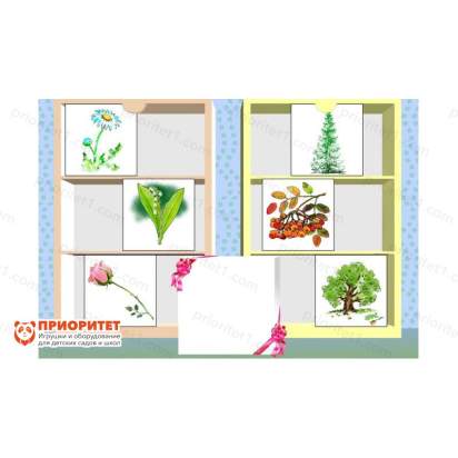 Логопедическая коррекционная программа «Игры для Тигры» (СD-версия) растения