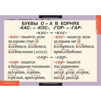 upload_1792484305_8840