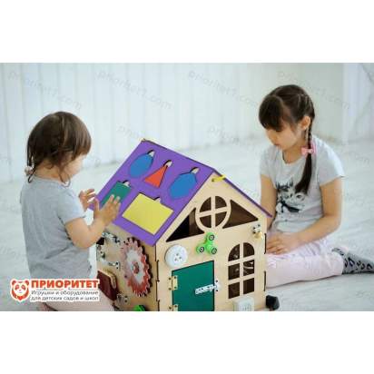 bizidom-poleznaya-razvivajka-fioletovaya-krysha-1