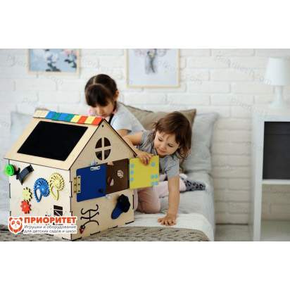 Бизидом Мамин помощник общий вид