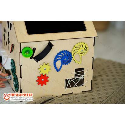 Бизидом Мамин помощник вид слева