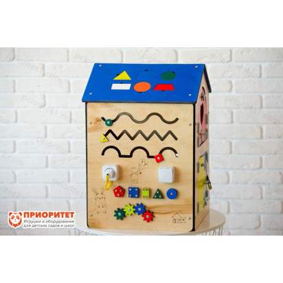 Бизидом «Будущий профессионал» с лабиринтом