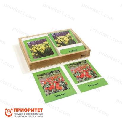 Игровой набор Монтессори «Первоцветы. 3-х частные карточки»