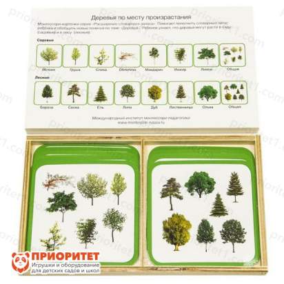Комплект карточек Монтессори «Деревья по среде»