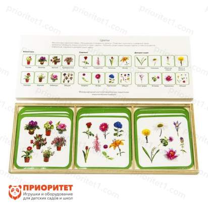 Комплект карточек Монтессори «Цветы»
