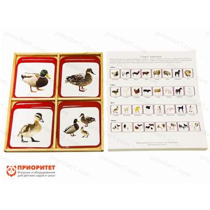 Комплект карточек Монтессори «Семья животных»