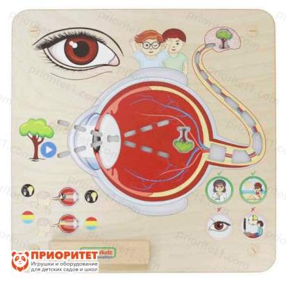 Панель «Зрение»