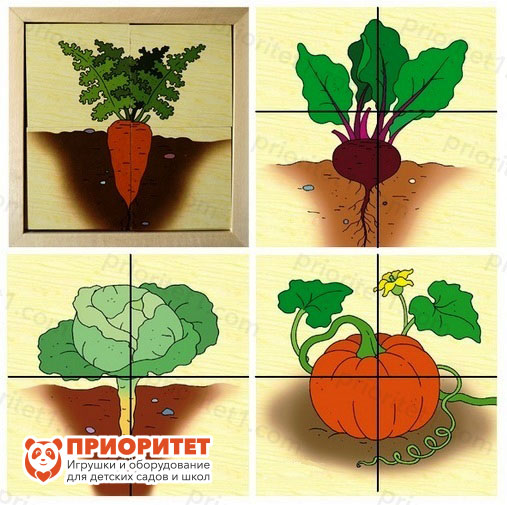 Разрезные картинки из дерева «Овощи»