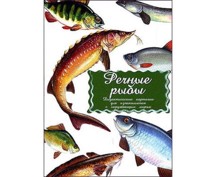 Дидактические карточки «Речные рыбы»