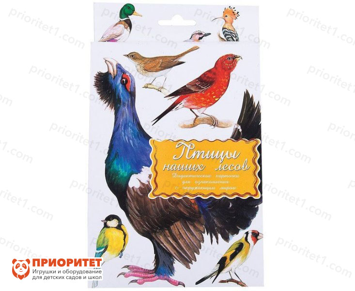 Дидактические карточки «Птицы наших лесов»