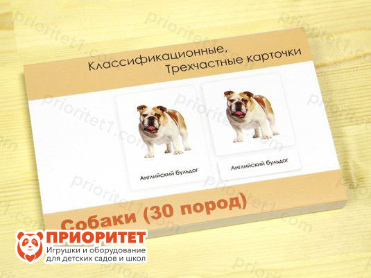 Комплект трехчастных карточек Монтессори «Собаки»