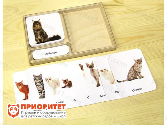 Комплект трехчастных карточек Монтессори «Кошки»