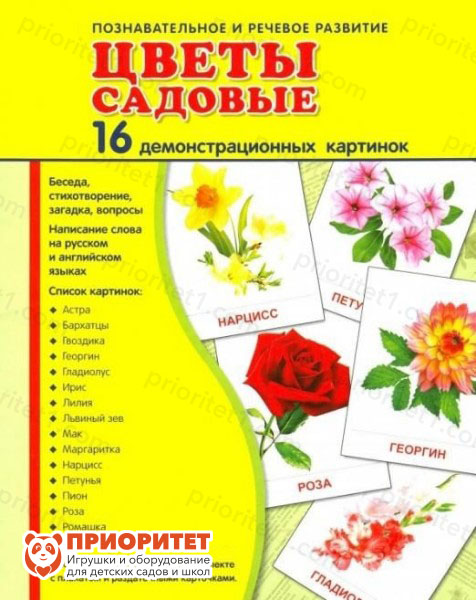 Демонстрационные карточки «Цветы садовые» (173x220 мм)