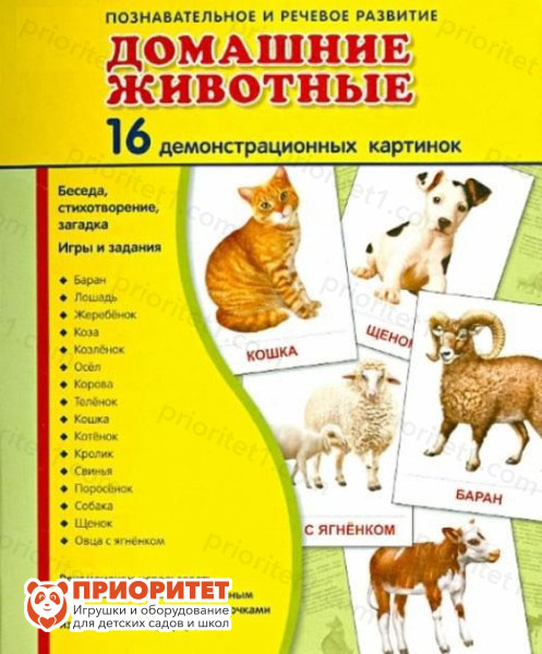 Демонстрационные карточки «Домашние животные» (63х87 мм)