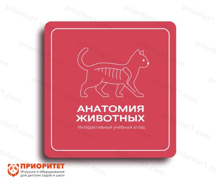 Виртуальный учебный комплекс Интерактивный трехмерный атлас анатомии животных
