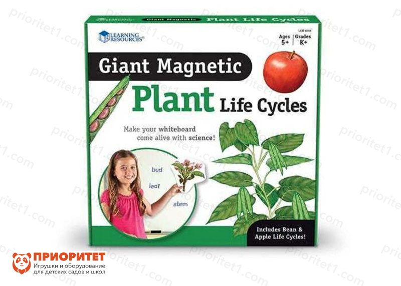 Развивающая магнитная игра «Жизненный цикл растений» (12 элементов)