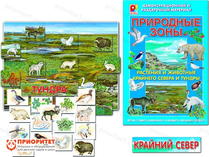 Демонстрационный материал «Природные зоны. Растения и животные крайнего  севера и тундры» купить в интернет-магазине в Москве