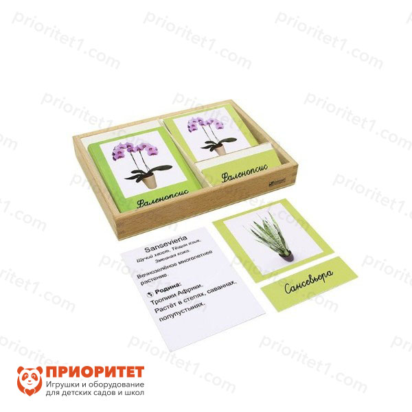 Игровой набор Монтессори «Комнатные растения. 3-х частные карточки»