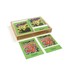 Игровой набор Монтессори «Первоцветы. 3-х частные карточки»