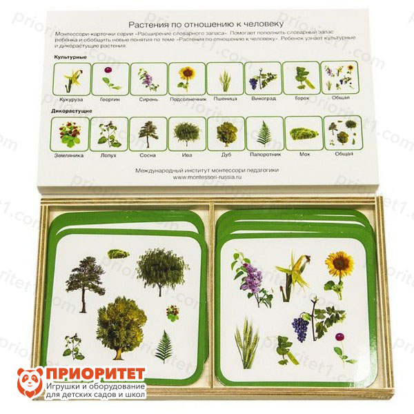 Комплект карточек Монтессори «Растения по отношению к человеку»