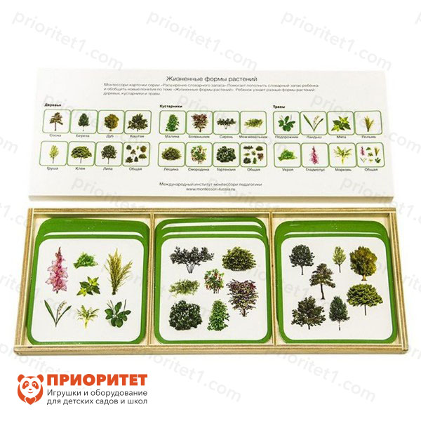 Комплект карточек Монтессори «Жизненные формы растений»