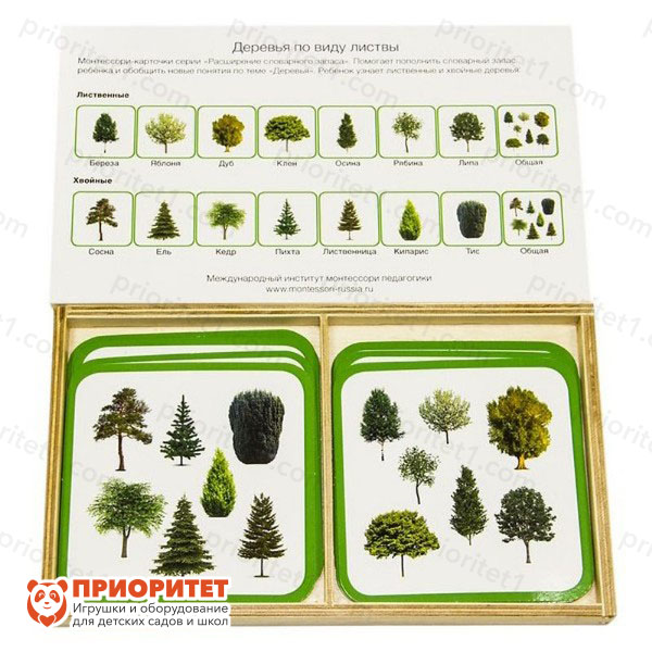Комплект карточек Монтессори «Деревья по листве»