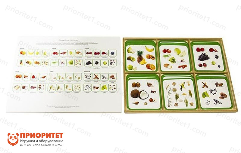 Комплект карточек Монтессори «Съедобные растения»